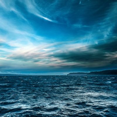 kdamhsts's profile picture. こんちは(。･ω･)ﾉ