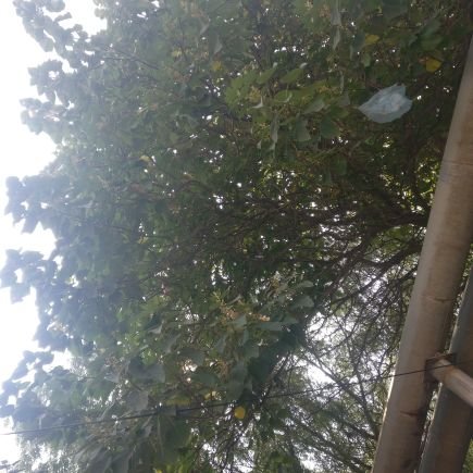 JackFrankli1's profile picture. 