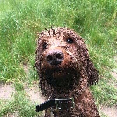 Emer O'Connell Profile