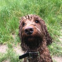 Emer O'Connell (@emeroconnell1) 's Twitter Profile