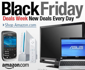 Black Friday Sales 2010 bestbuy Black Friday Sales cyber monday