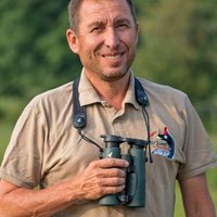 Pete Morris(@birdingpete) 's Twitter Profile Photo