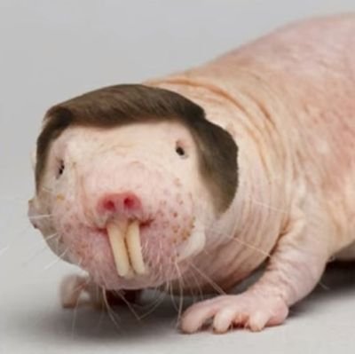 Ezra80236916's profile picture. God and and family what else could there be?