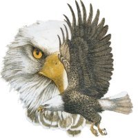 Nance Elementary (@nanceelementary) 's Twitter Profile