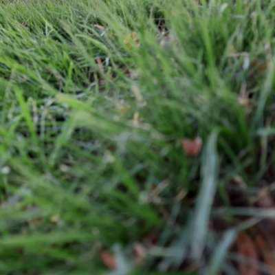 checatee's profile picture. 