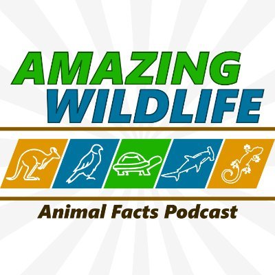 Educational podcast series dedicated to the wonders of the animal kingdom. Featuring many of the world’s most fantastic animals & zoos.