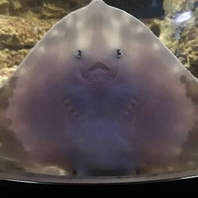 cass_66430's profile picture. Comment y va ?