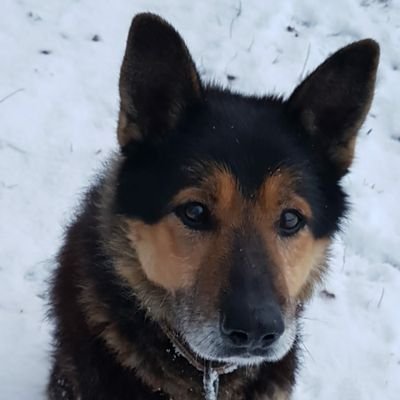 0x746b73's profile picture. 