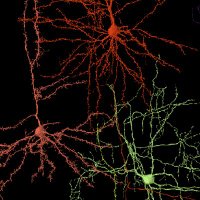 Paul Fahey (@paulgfahey) 's Twitter Profile