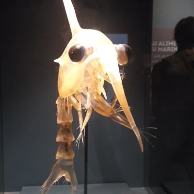 AwesomeAres1's profile picture. 