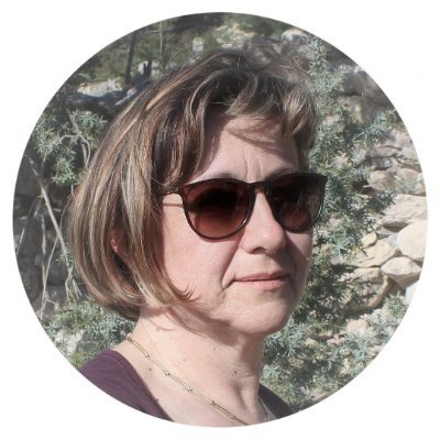 brmbalex's profile picture. Math & IT teacher in Markantun de Dominis high school Rab, Magic school AI Pioneer, Scientix ambasador, eTwinning teacher