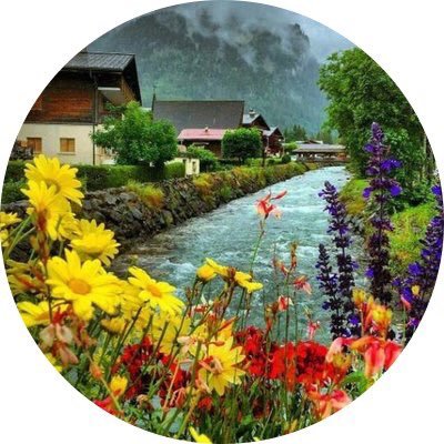 bnttt_56's profile picture. استهوتني الزراعة واكتشفت اني لاأجيد ابجدياتها فمنكم نتعلم