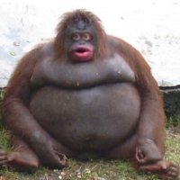 Richard (@richard05383409) 's Twitter Profile