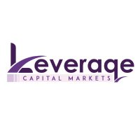 Leveraqe Capital(@CapitalLeveraqe) 's Twitter Profile Photo