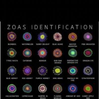 Daniel De Anda (@danield00306092) 's Twitter Profile Photo