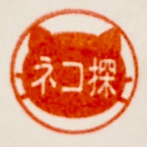 🌿外で暮らすネコたちを撮影しています。 🌿ネコ好きさんとの出会いを大切にしたいです😸🌿投稿は毎日、メインはインスタですよろしければご覧ください。😸 ☘️2021日本写真作家協会(JPA)公募展「入選」、2020/11品川キヤノンオープンギャラリーねこ写真展、他多数出展