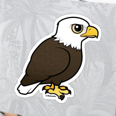 PositivityEagle's profile picture. 𝙹𝚞𝚜𝚝 𝚊𝚗 🦅 𝚜𝚑𝚊𝚛𝚒𝚗𝚐 𝚠𝚘𝚛𝚍𝚜 𝚘𝚏 𝚙𝚘𝚜𝚒𝚝𝚒𝚟𝚒𝚝𝚢, 𝚕𝚘𝚟𝚎, 𝚊𝚗𝚍 𝚒𝚗𝚜𝚒𝚐𝚑𝚝.