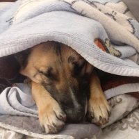 Rizer.bsky.social (@rizer_stake) 's Twitter Profile