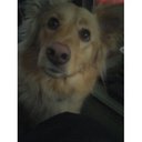 Joanne Munro - @Prairie_Jo - Twitter