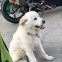 趣旨を説明してくれ・・・ (@y7) 's Twitter Profile