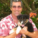 Pete Sullivan - @mauipete808 - Twitter