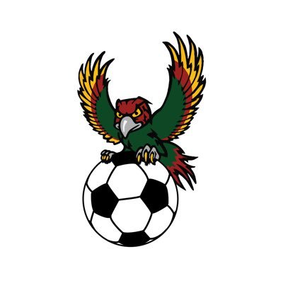 CoachHMohammed's profile picture. 