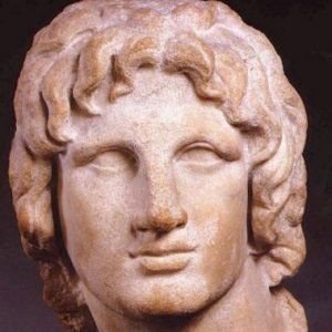 OmnibusPlop's profile picture. 