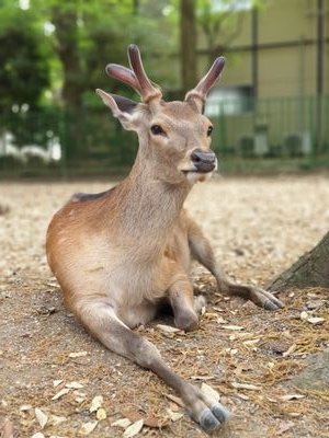 Phawita1989's profile picture. Noonuy