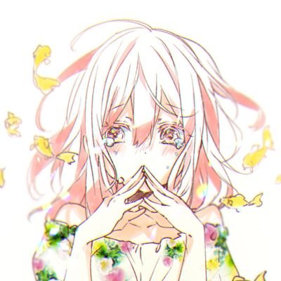 shallさんのプロフィール画像