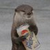 Wader the Otter ❤️😩😳🐮🐟 (@waderotter) Twitter profile photo Wader the Otter ❤️😩😳🐮🐟 (@waderotter) Twitter profile photo