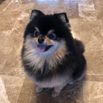 rinedescartes's profile picture. have some 🍵