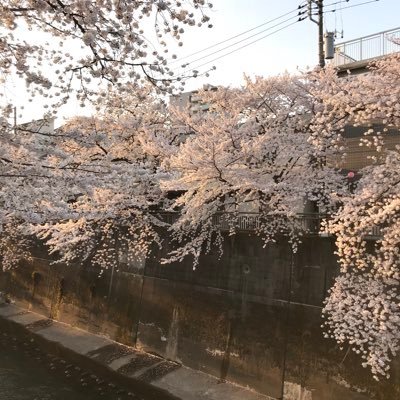 SI13707865's profile picture. 東京、板橋にあるセレクトショップです。