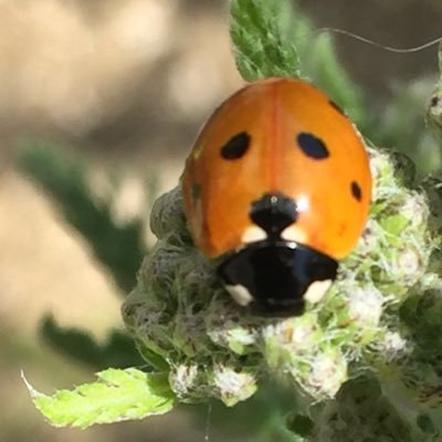 Love Rugby, Photography, Wildlife, Living in the Dorset Area