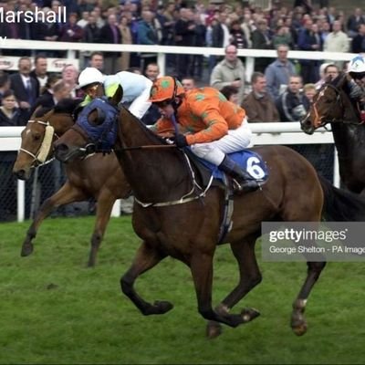 larmar007's profile picture. been a lucky racehorse owner ,