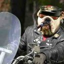 Greg Puckett - @puckrock1 - Twitter