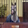 koou1594's profile picture. 競馬動画をニコニコとYouTuberで投稿してます。

YouTubeアカウント
https://t.co/3tWAUI8sIW

ライブ配信用 アカウント
https://t.co/xc0iGfiQIv