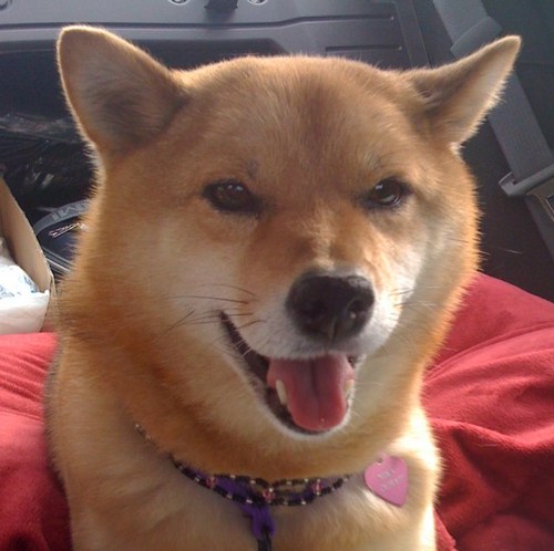 jjjjohnjjjj's profile picture. 