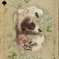 SQUIRREL🐿 (@squirrel_kyoto) 's Twitter Profile