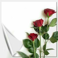 🍁رحلتي 🌹🌹🌹 (@rehlty_inter) 's Twitter Profile
