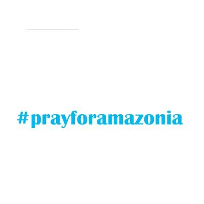 #prayforamazonia
amazonia is literally burning.the world's main lung. 
thousands of animals plants are dying, we're slowly dying and it's hurtful