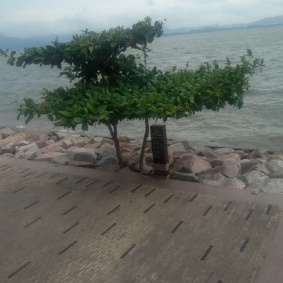 hi02511714's profile picture. 