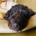 tracey condliffe (@ptcondliffe) Twitter profile photo tracey condliffe (@ptcondliffe) Twitter profile photo