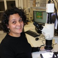 Ceren Kabukcu (@cerenarkbotani) 's Twitter Profile