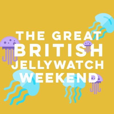 24th - 26th August 2019 💙 Take part in the UK's largest Jellyfish survey! Send us your Jellyfish photos & tag us in it using #GBJellywatch @mcsuk @swanseauni