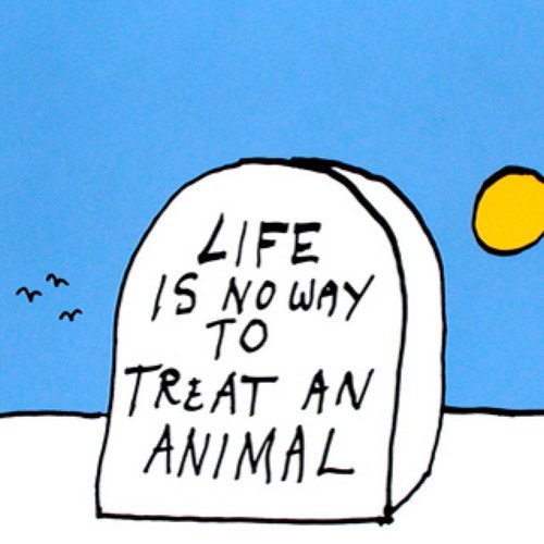 qp_crazy's profile picture. 