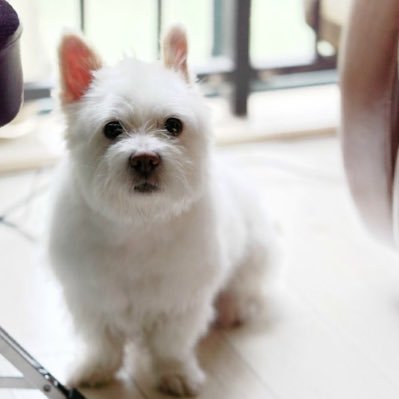 gengxinone's profile picture. 我就是我，颜色不一样的鬼火！interest：new tings！