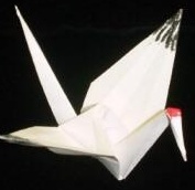 scrivoliamo's profile picture. Community di Scrittura Creativa. Concorsi letterari, laboratori di scrittura, condivisione di passione.

http://t.co/4mB2gW7H