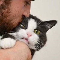 Michael's Cat (@michaelscat2) 's Twitter Profile Photo Michael's Cat (@michaelscat2) 's Twitter Profile Photo