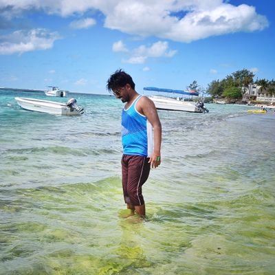 WatchAshish's profile picture. UI Engineer