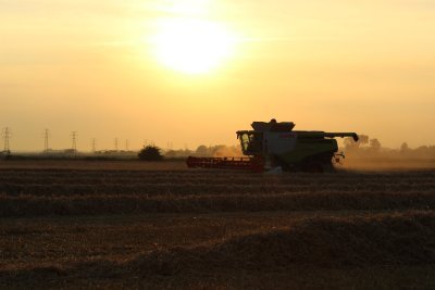 Enhancing the environment within our farmed landscape, for species which call this area home, whilst producing good quality sustainable food.